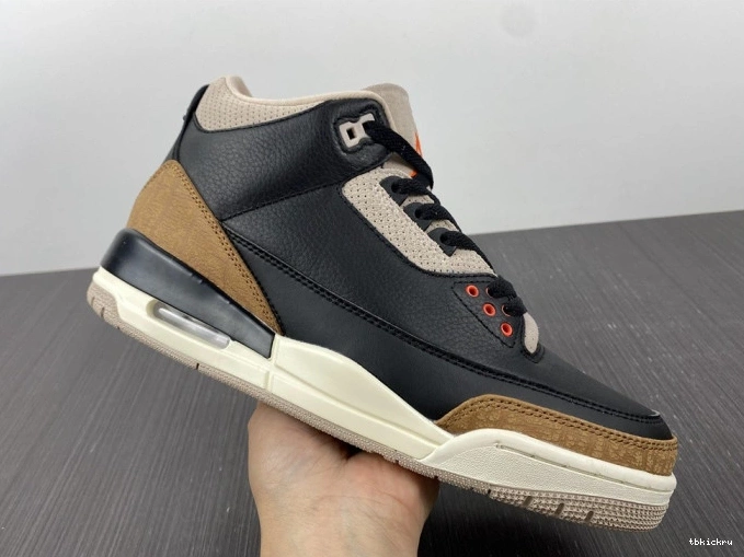 Reps TBK Elephant Desert Jordan Air CT8532-008 3 0706
